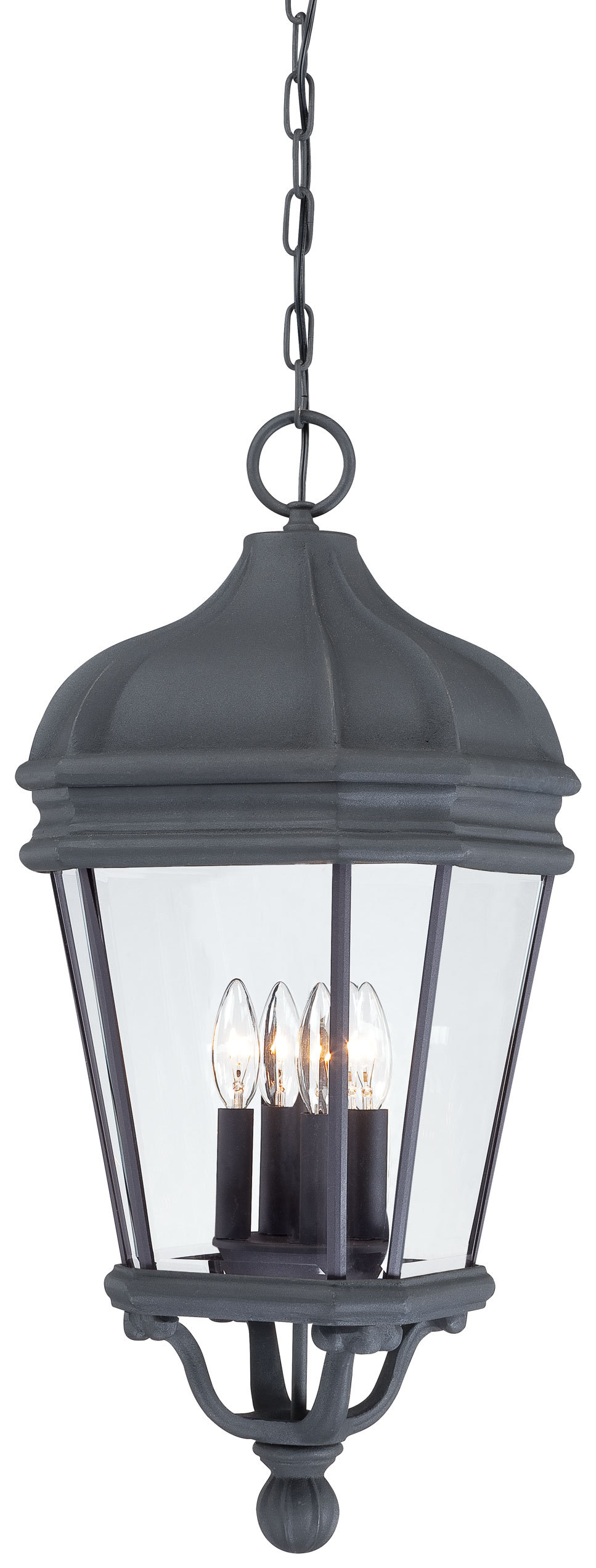 HARRISON™ - 4 LIGHT OUTDOOR CHAIN HUNG