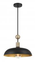 Minka-Lavery 1995-862 - BILOXI - 1LT PENDANT