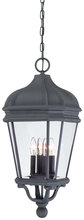 Minka-Lavery 8694-66 - HARRISON™ - 4 LIGHT OUTDOOR CHAIN HUNG