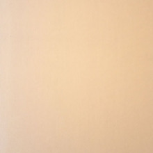 d1408_alt4.jpg